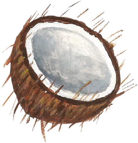 Half Coconut